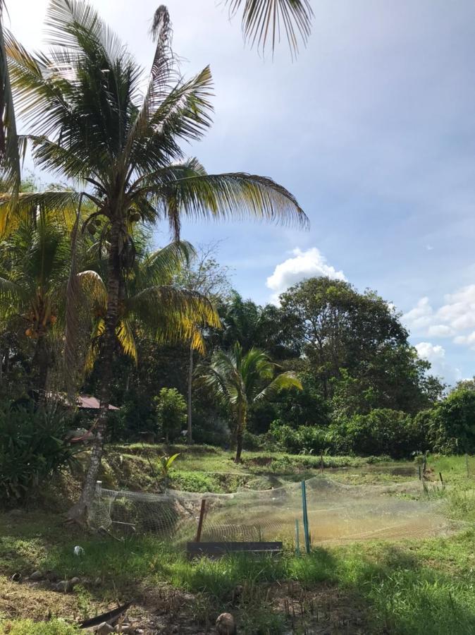 Homestay Bendang Hilir Kuala Nerang 외부 사진